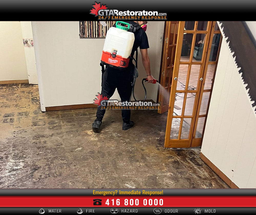 Importance of Mold Inspection & Testing for Air Quality
