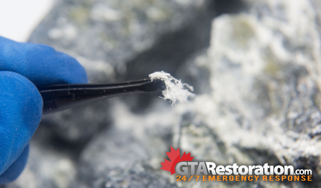 Toronto asbestos removal how it works with gta restoration, st. Albert