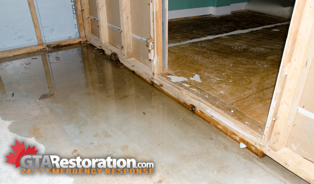 Expert concord water & flood damage repair