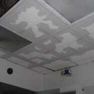 Restoration Pictures Photo Gallery Images (168)