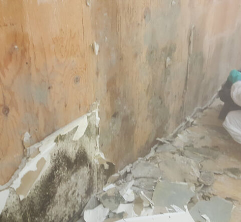 Asbestos removal