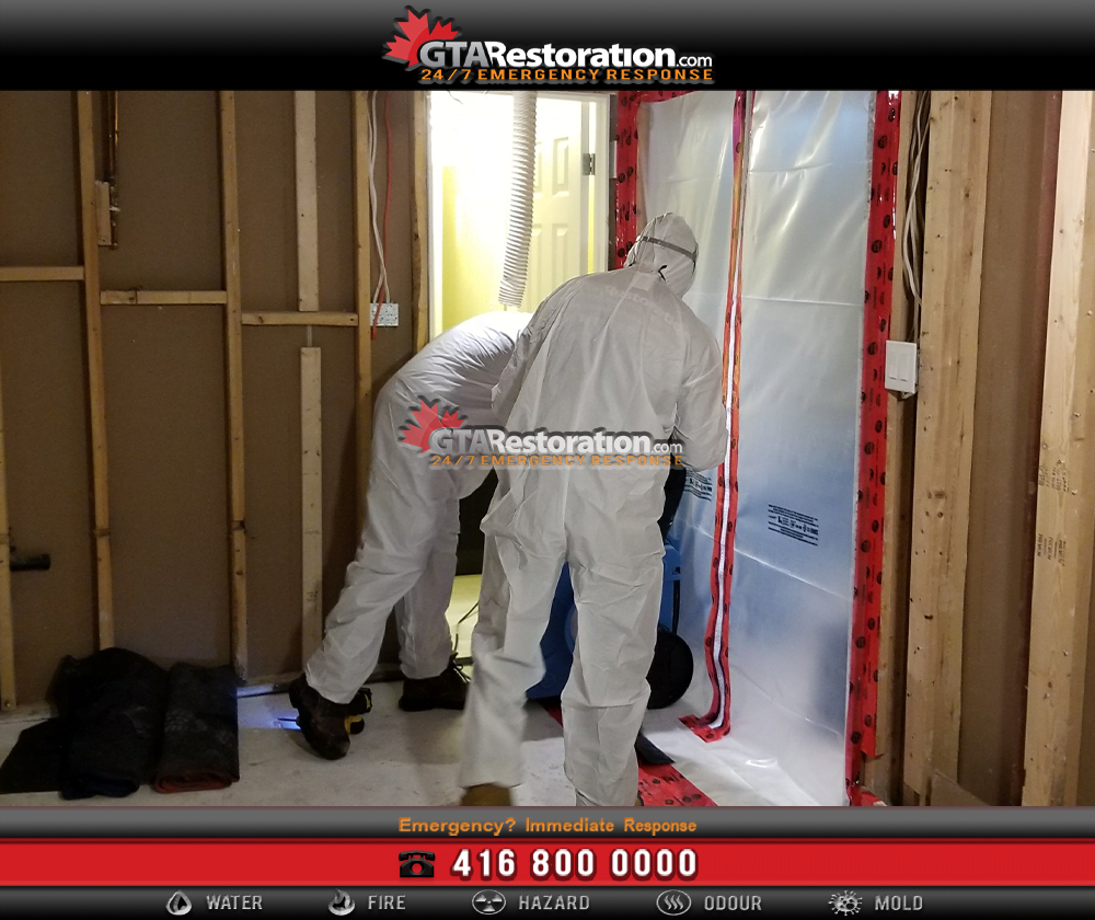The process of biohazard cleanup and remediation