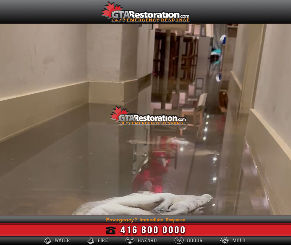 Emergency restoration services in toronto Emergency restoration services in toronto: your complete guide