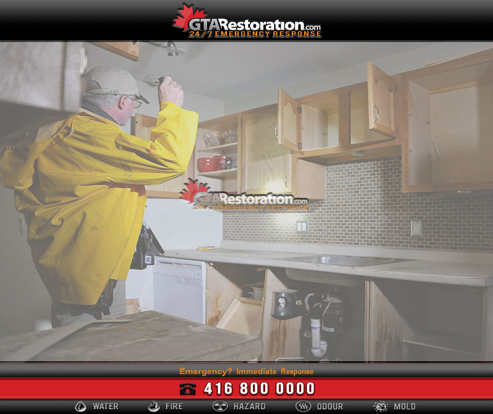 Mold removal & remediation services in cumberland