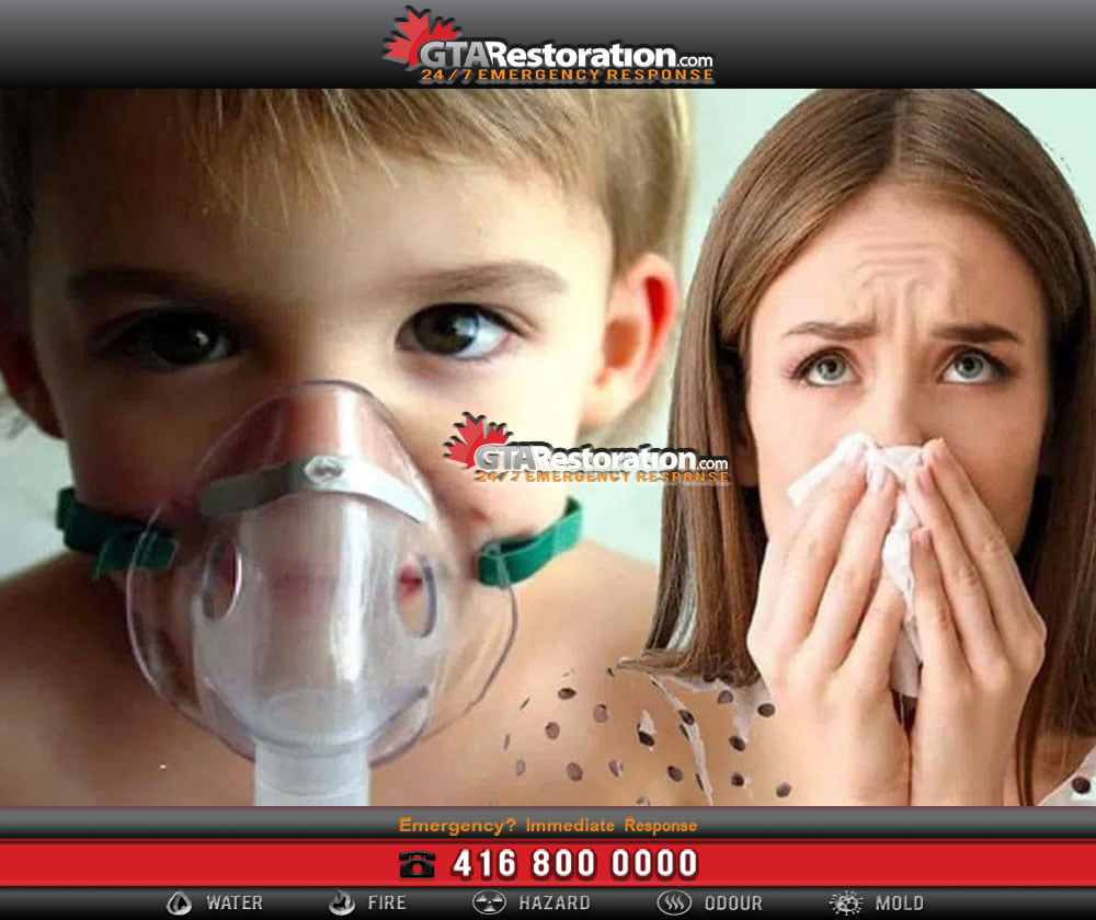 Mold allergy family with illness asthma, five common questions about mold removal process! Mold allergy family with illness asthma, five common questions about mold removal process!