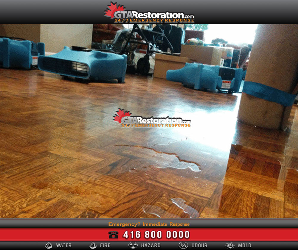 What To Do If You Have Water Damage in Toronto