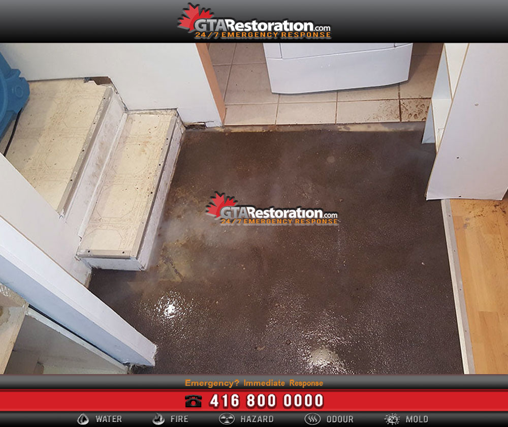 Water & flood damage repair brampton 2 Emergency flood cleanup