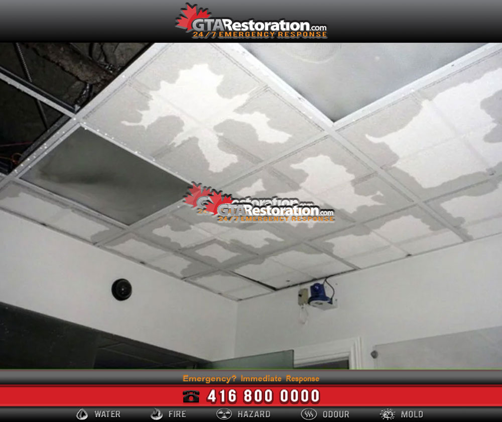 How to deal with flood and water damage? 1 How to deal with flood and water damage in your toronto home!