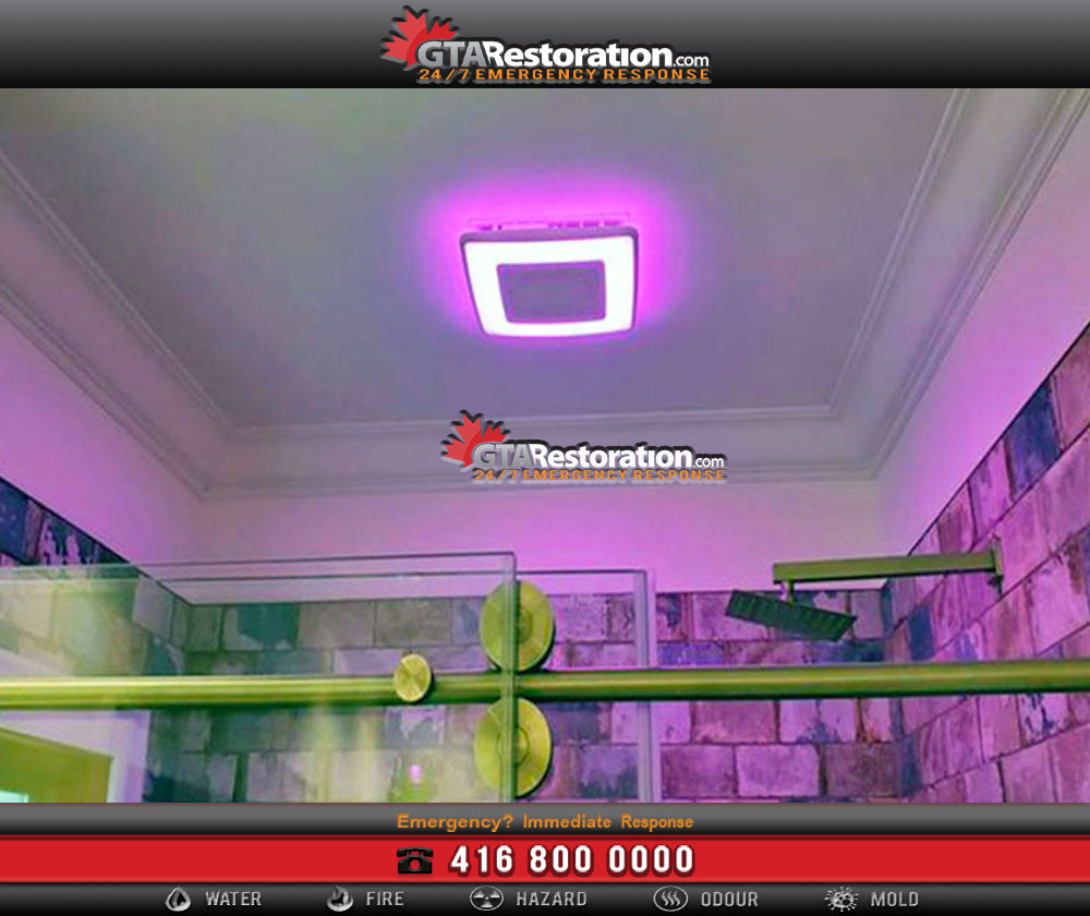 Avoid mold growth with proper ventilation Avoid mold growth with proper ventilation