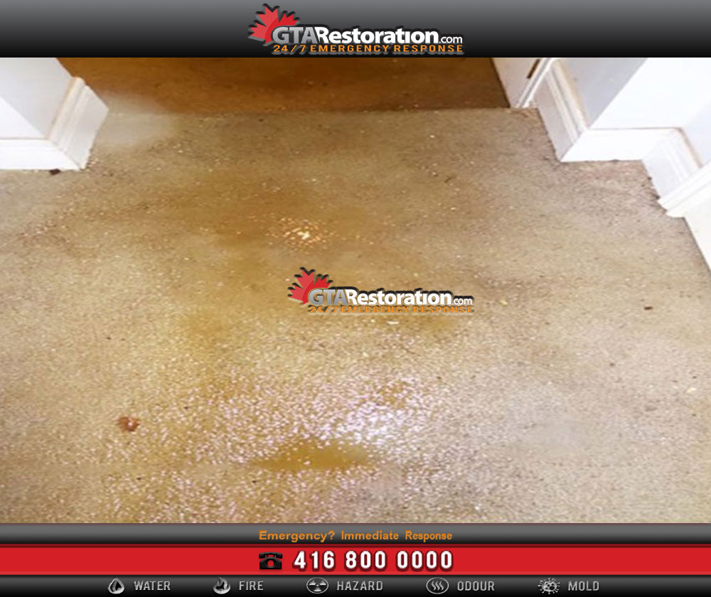 Carpet water damage in a toronto home basement Carpet water damage in a toronto home basement