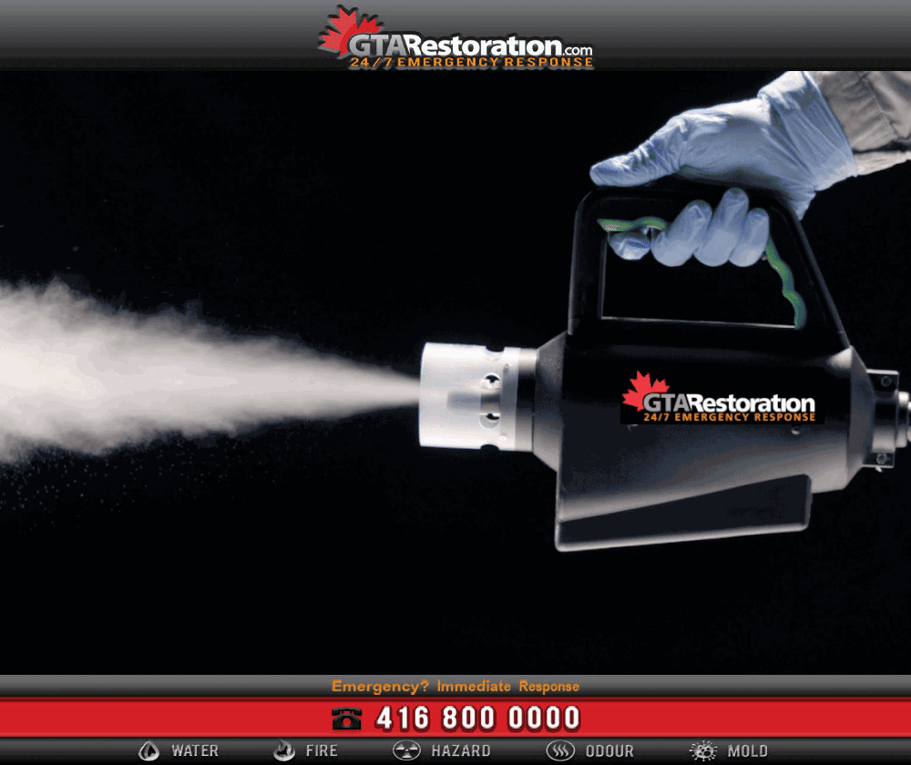 Office disinfecting & sanitizing fogging service 1 Office disinfecting and sanitizing fogging service in toronto odour-removal-electro-gen-fogger