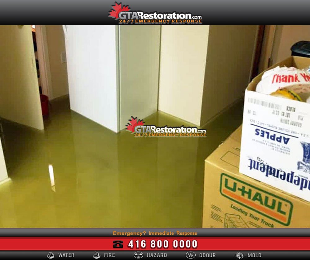 Treating Water Damage from Floods