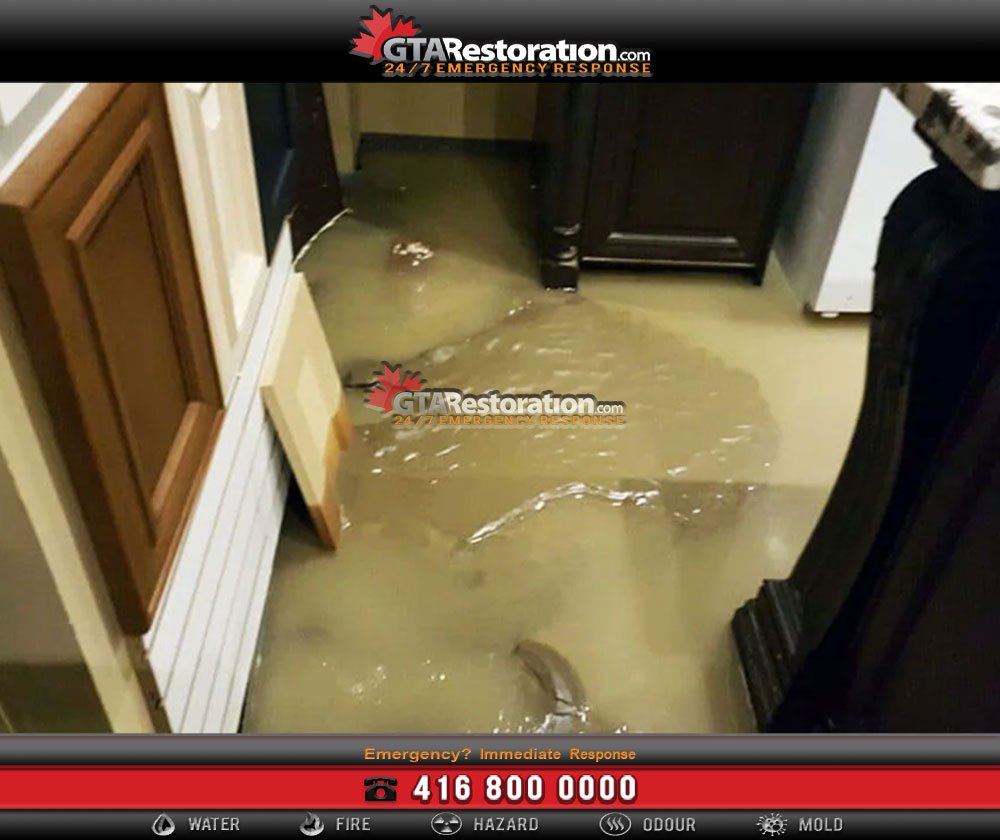 Water Damage Restoration Tips