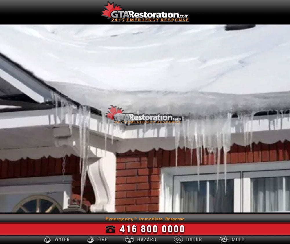 Water Damage & Mold from Melting Snow!