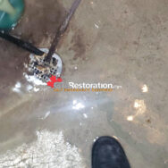 Basement Drain Flood Restoration