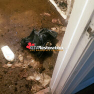 Basement Flood Restoration Service