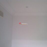 Flir Thermal Imaging (1)