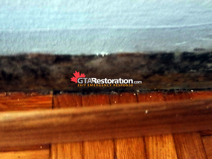 Mold after basebord removal