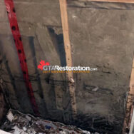 Mold Behind Washroom Drywall 