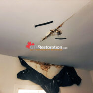 Mold Ceiling Wall