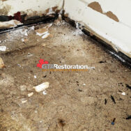 Mold Concrete Floor Wall