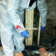 Mold Concrete Wall