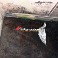 Emergency Flood Cleanup