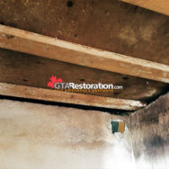 Mold In Cold Room