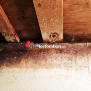 Mold In Garage Floor