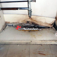 Mold In Kitchen Cabinet