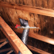 Mold In Roof Attic