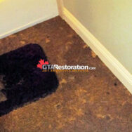 Sewer Backup Cleanup Toronto