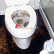 Sewage Backup Cleaning GTA