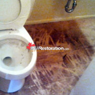 Sewage Clean Up Toronto
