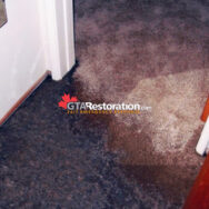 Sewage Cleaning Toronto House