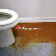 Sewer Backup Bathroom Toronto