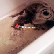 Sewer Backup Bathtub