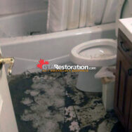 Sewer Backup Clean Up Service Toronto
