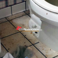 Sewer Backup Cleaning Toronto
