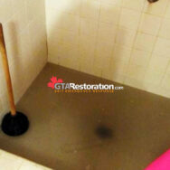 Sewer Backup North York