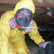 Sewer Backup Toronto GTA