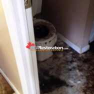 Sewer Cleaning Toronto GTA