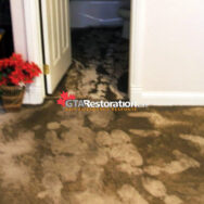 Sewer Water In Carpet