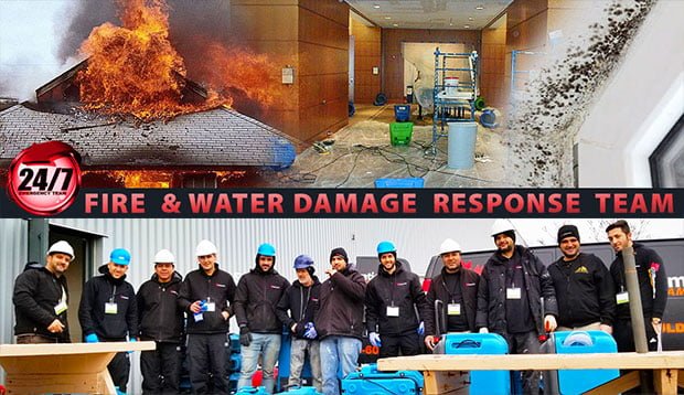 Commercial restoration team
<p>experience the power of professional <strong>commercial restoration team</strong></p>
<p>when disaster strikes your business, you need <strong>commercial restoration services</strong> you can trust. At gta restoration, our team specializes in rapid, reliable, and comprehensive <strong>commercial restoration emergency</strong> to bring your property back to life. Whether your business faces water damage, fire damage, mold infestations, or storm destruction, our award-winning experts provide <strong>commercial restoration projects</strong> that guarantee your operations can resume with confidence. </p>