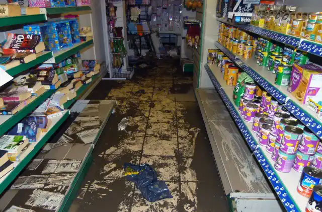 Flood Before Image