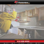 Mold Removal & Remediation In Rockcliffe Park