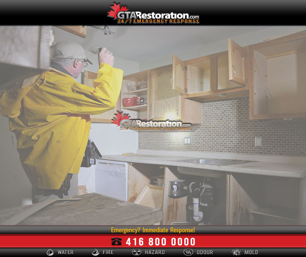 Free mold testing and mold inspection
