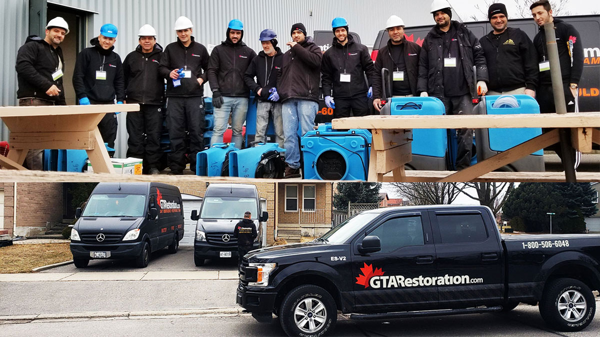 Mold removal boucherville, mold removal & mould remediation boucherville, gta restoration: expert water damage & mold removal