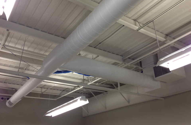 Mold Removal After